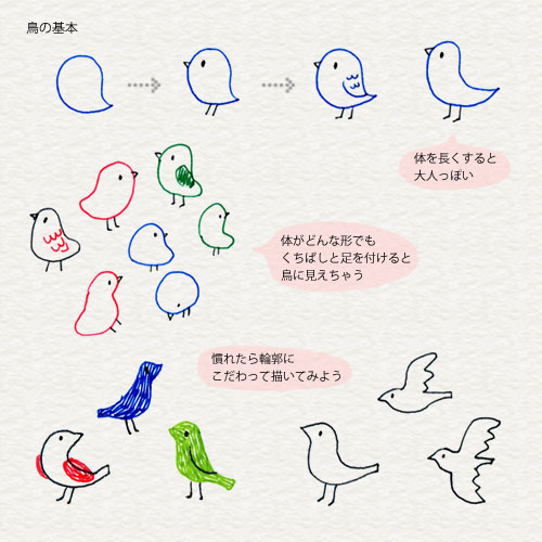 鳥の描き方