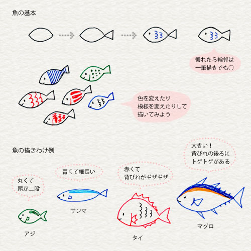 無料ダウンロード おしゃれな 手書き 魚 イラスト かわいい 最高の壁紙のアイデアcahd