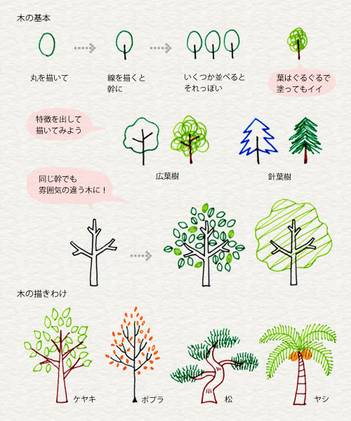 3 8 植物や風景を描こう 4色ボールペンで かわいいイラスト描けるかな